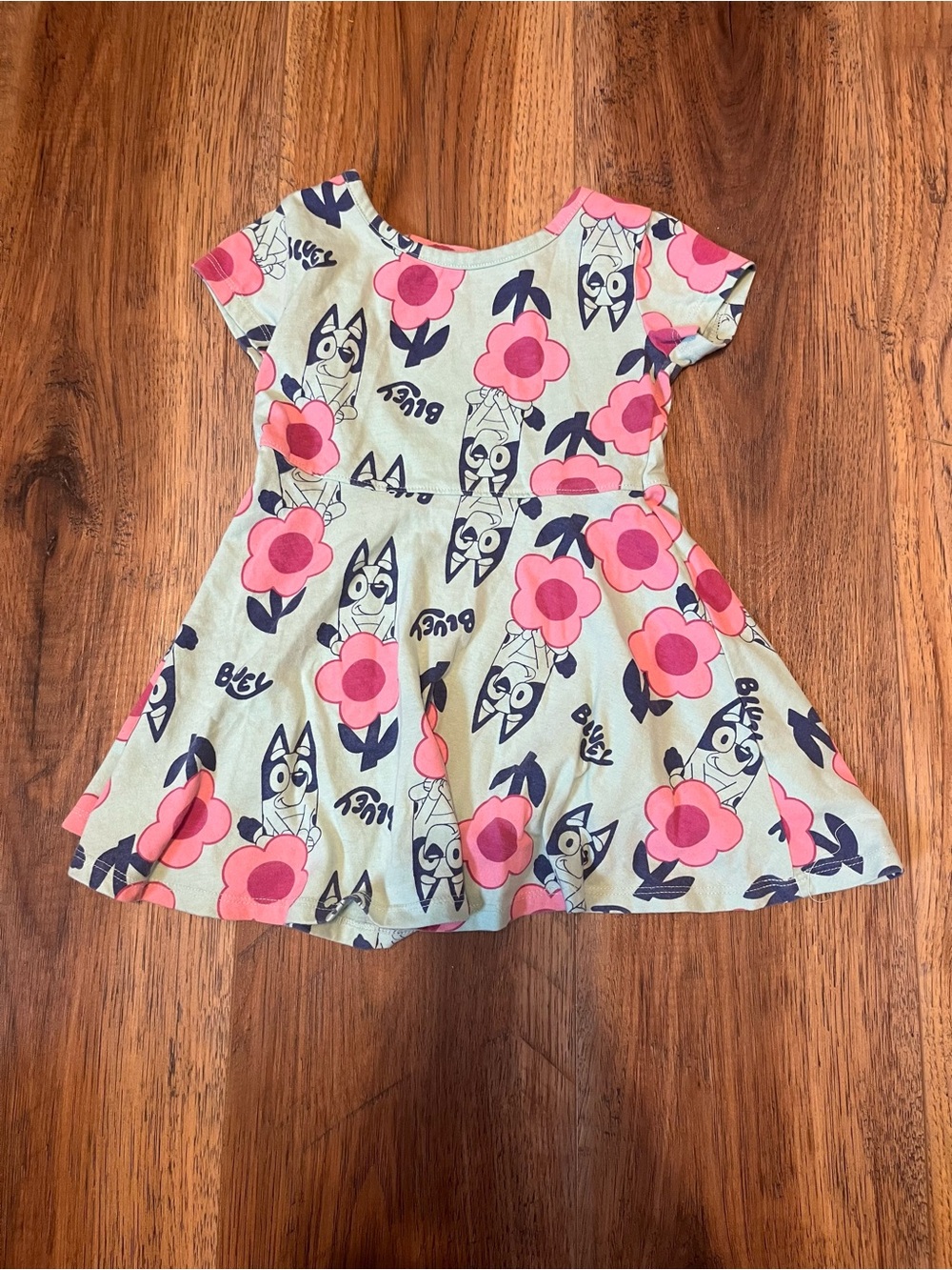 Girls Bluey Dress